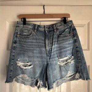 American Eagle Baggy Mom Short